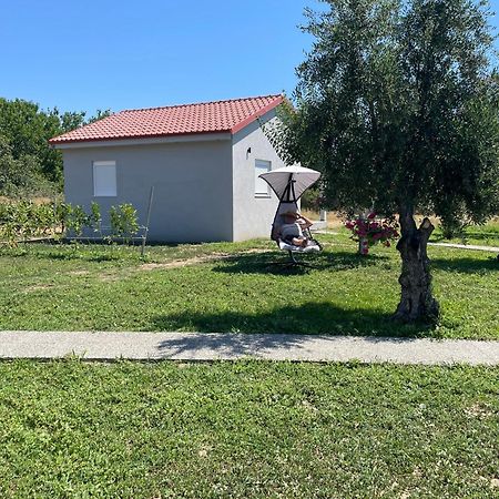 Ktima Mimoza Sykia Chalkidikis Exterior foto