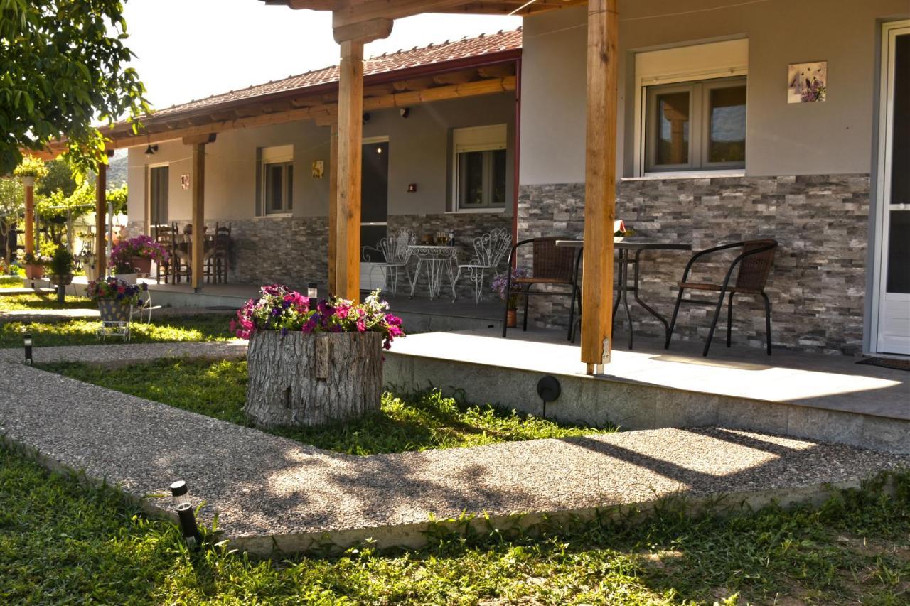 Ktima Mimoza Sykia Chalkidikis Exterior foto
