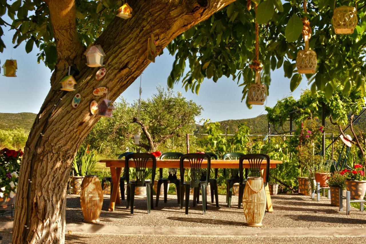 Ktima Mimoza Sykia Chalkidikis Exterior foto